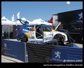 10 Peugeot 207 S2000 A.Di Benedetto - A.Michelet Paddock (3)